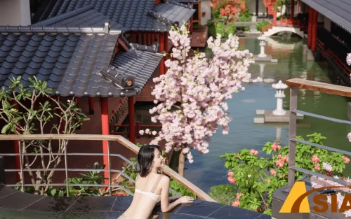 Gía vé công viên nước Mikazuki 2023 (2)