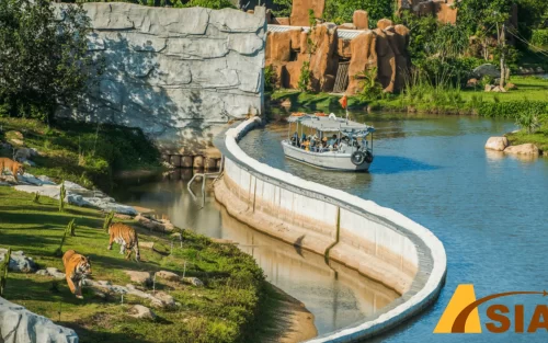 Khám phá River Safari độc đáo bằng thuyền lênh đênh trên sông