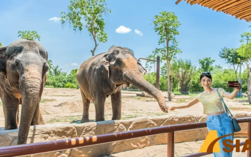 River Safari Nam Hội An