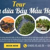 Tour Rừng dừa bảy mẫu hội an