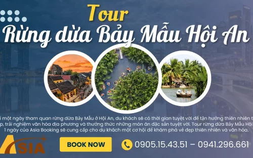 Tour Rừng dừa bảy mẫu hội an