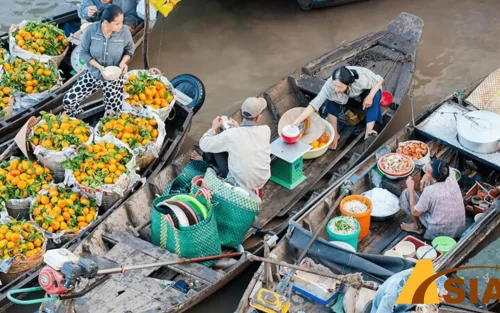 TOUR CÀ MAU CẦN THƠ 4 NGÀY 3 ĐÊM CÓ GÌ HẤP DẪN?