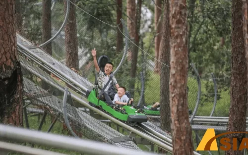 LỊCH TRÌNH THAM QUAN ĐÀ LẠT 3 NGÀY 2 ĐÊM CHI TIẾT