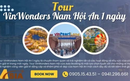 tour vinwonders nam hội an 1 ngày