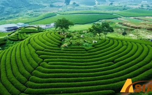 TOUR DU LỊCH TÂY BẮC 4 NGÀY 3 ĐÊM CÓ GÌ HẤP DẪN?