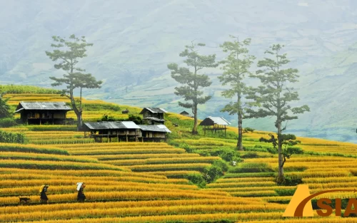 KINH NGHIỆM DU LỊCH TÂY BẮC 4 NGÀY 3 ĐÊM MÀ BẠN NÊN BIẾT!