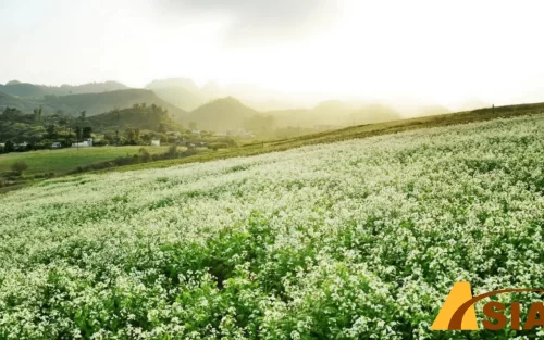 GIÁ TOUR DU LỊCH TÂY BẮC 4 NGÀY 3 ĐÊM 