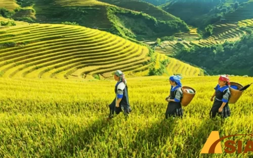 Những lưu ý khi đi tour du lịch Tây Bắc từ Đà Nẵng 5 ngày 4 đêm